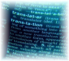 Modifying Translations in Dynamics CRM 2011