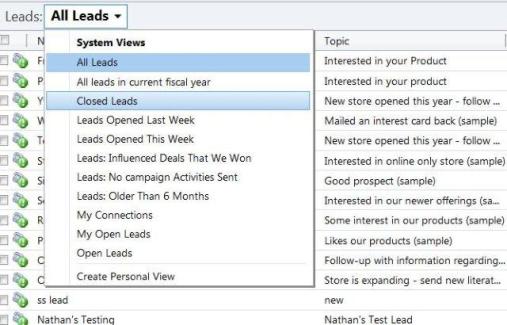 How to create personal view for different sales lead generated from your website in Microsoft Dynamics CRM 2011