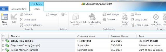 How to create personal view for different sales lead generated from your website in Microsoft Dynamics CRM 2011