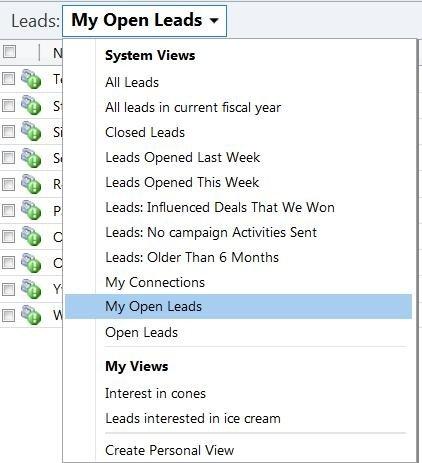 How to create personal view for different sales lead generated from your website in Microsoft Dynamics CRM 2011