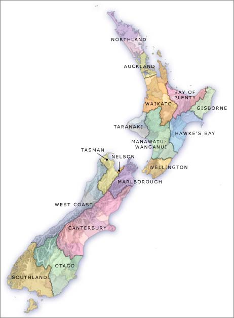 Microsoft Dynamics CRM for Regional Councils | Magnetism Solutions | NZ ...