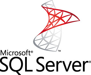 Directly injecting data into the CRM 4 SQL database – 1100% Faster!