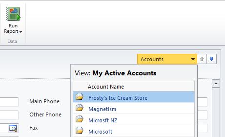 Accessing Records in Microsoft Dynamics CRM 2011 | Magnetism Solutions ...