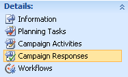 Microsoft Dynamics CRM 4.0 Feature - Campaign Responses | Magnetism ...