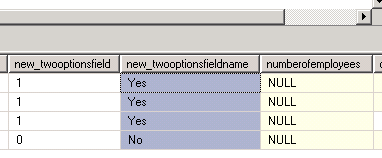 Duplicate Field Name Error Creating Field Dynamics CRM 2011