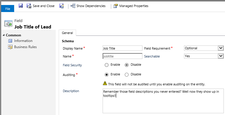 Dynamics CRM 2013 - Field Description displayed in Tooltip